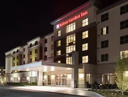 Hilton Garden Inn Rochester University | New York - Rochester (ve civarı) - Rochester