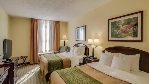 Comfort Inn Staunton | Virginia - Staunton (ve civarı) - Staunton