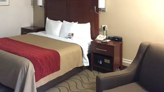 Comfort Inn Middletown | New Jersey - Manalapan Township - Red Bank - Tinton Falls (ve civarı) - Middletown