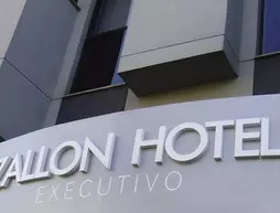 Zallon Hotel Executivo | South Region - Rio Grande Do Sul (eyalet) - Lajeado