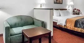 Econo Lodge Inn and Suites Southeast | Tennessee - Nashville-Davidson - Nashville (ve civarı) - La Vergne