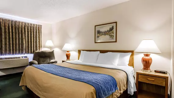 Comfort Inn Ozark | Missouri - Springfield (ve civarı) - Ozark