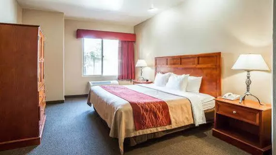 Comfort Inn at Convention Center Saint George | Utah - St. George (ve civarı) - St. George