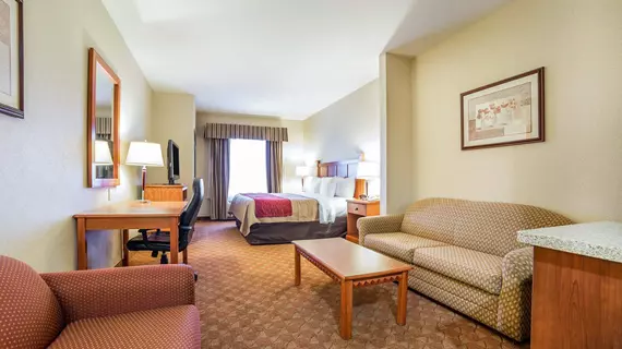 COMFORT INN & SUITES | Nevada - Clark County - Las Vegas (ve civarı) - Las Vegas