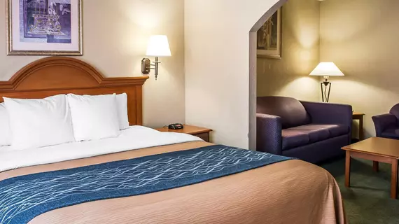 COMFORT INN & SUITES | New Mexico - Las Cruces (ve civarı) - Las Cruces