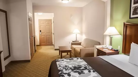 Sleep Inn & Suites Gettysburg | Pensilvanya - Gettysburg (ve civarı) - Gettysburg