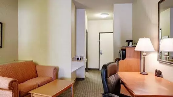 Comfort Suites North IH 35 | Teksas - San Antonio (ve civarı) - San Antonio - Kuzey San Antonio - SAT Havalimanı