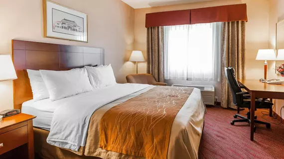 Comfort Inn Kelso | Washington - Kelso - Longview (ve civarı) - Kelso