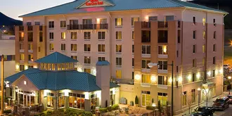 Hilton Garden Inn Chattanooga Downtown