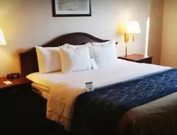 Comfort Inn Tacoma | Washington - Tacoma (ve civarı) - Tacoma