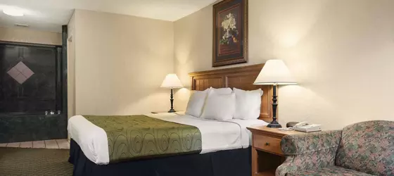 Days Inn and Suites Stuttgart | Arkansas - Hazen (ve civarı) - Stuttgart