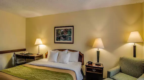 Comfort Inn Staunton | Virginia - Staunton (ve civarı) - Staunton