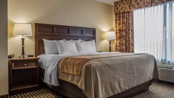 Comfort Inn & Suites Farmington | New York - Rochester (ve civarı) - Farmington