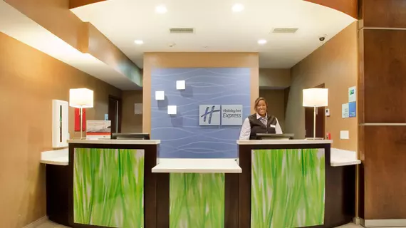 Holiday Inn Express and Suites St Louis Airport | Missouri - St. Louis (ve civarı) - St. Louis - Woodson Terrace