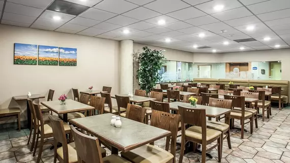 Quality Inn & Suites Seattle Center | Washington - Seattle (ve dolayları) - Seattle - South Lake Union