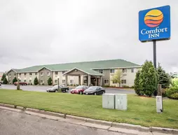 Comfort Inn Rhinelander | Wisconsin - Rhinelander (ve civarı) - Rhinelander