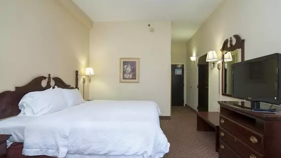 Hampton Inn Greenville/Travelers Rest | Güney Karolayna - Greenville - Spartanburg (ve civarı) - Travelers Rest