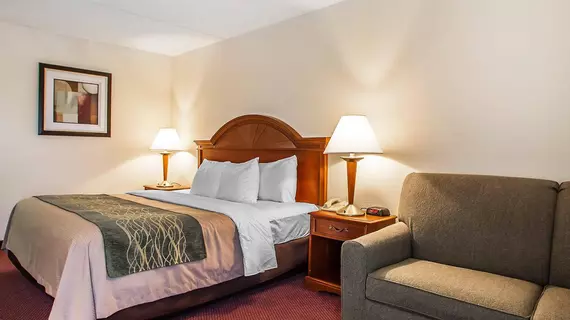 Comfort Inn Lehigh Valley West | Pensilvanya - Bucks County - Allentown (ve civarı) - Allentown