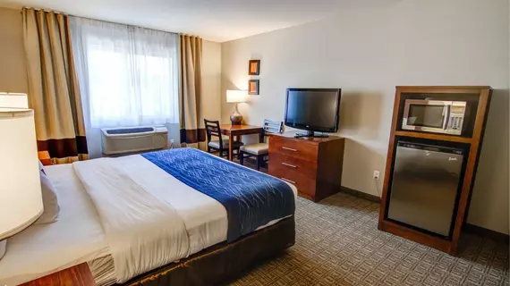 Comfort Inn & Suites Near Temecula Wine Country | Kaliforniya - Riverside County - Temecula (ve civarı) - Murrieta