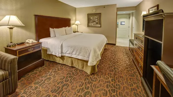 Hampton Inn & Suites Memphis-Beale Street | Tennessee - Memphis (ve civarı) - Memphis - Downtown Memphis