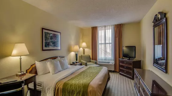 Comfort Inn Staunton | Virginia - Staunton (ve civarı) - Staunton