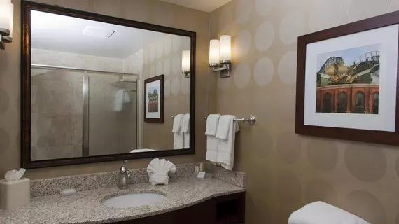 Hilton Garden Inn Milwaukee Airport | Wisconsin - Milwaukee (ve civarı) - Milwaukee