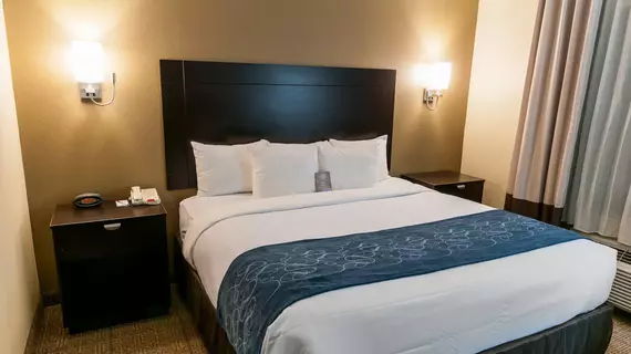 Comfort Suites Hobby Airport Houston | Teksas - Houston (ve civarı) - Houston