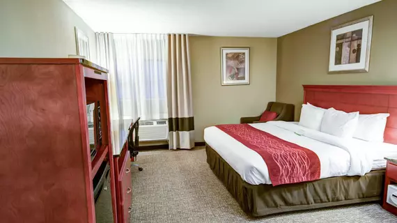 Comfort Inn Greencastle | Pensilvanya - Gettysburg (ve civarı) - Greencastle