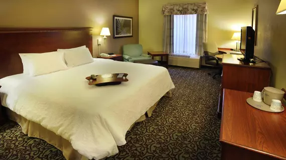 Hampton Inn Gallatin | Tennessee - Nashville-Davidson - Nashville (ve civarı) - Gallatin