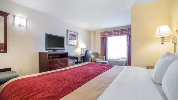 Comfort Inn & Suites Rock Springs | Wyoming - Rock Springs (ve civarı) - Rock Springs