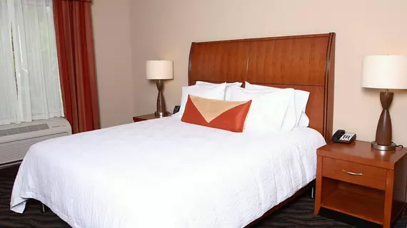 Hilton Garden Inn Chesapeake/Suffolk | Virginia - Norfolk - Virginia Beach (ve civarı) - Suffolk