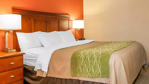 COMFORT INN OXFORD | Ohio - Cincinnati (ve civarı) - Oxford