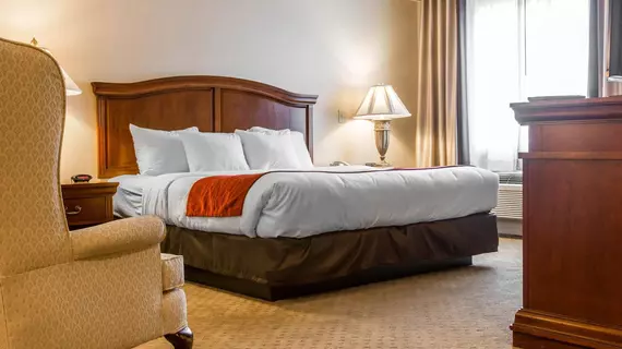 Comfort Inn & Suites East Greenbush | New York - Albany (ve civarı) - Castleton-on-Hudson