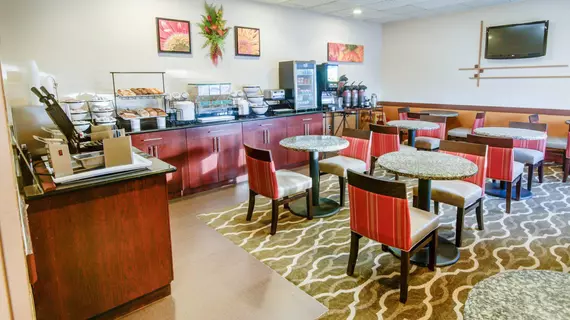 Comfort Inn Greencastle | Pensilvanya - Gettysburg (ve civarı) - Greencastle