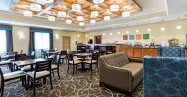 Comfort Suites Katy | Teksas - Houston (ve civarı) - Katy