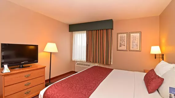 Best Western Abilene Inn and Suites | Teksas - Abilene (ve civarı) - Abilene