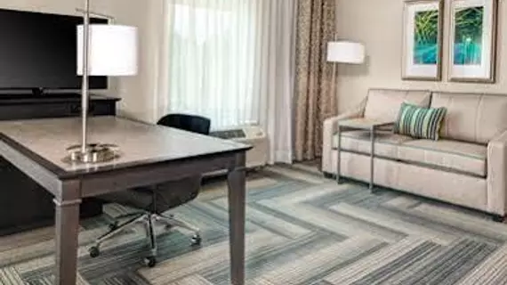 Hampton Inn and Suites by Hilton Atlanta Perimeter Dunwoody | Georgia - Atlanta (ve civarı) - Dunwoody