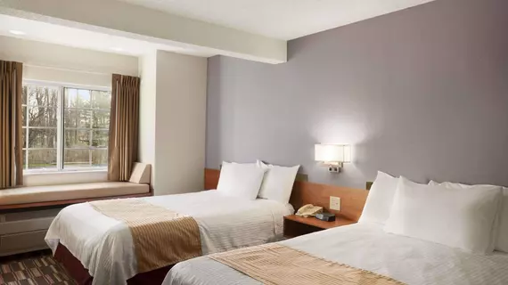 Microtel Inn by Wyndham - Albany Airport | New York - Albany (ve civarı) - Latham