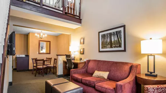 Comfort Suites Madison | Wisconsin - Madison (ve civarı) - Madison