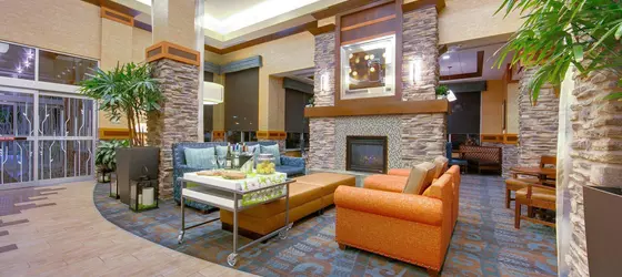 Hilton Garden Inn Fort Worth Medical Center | Teksas - Fort Worth (ve civarı) - Fort Worth