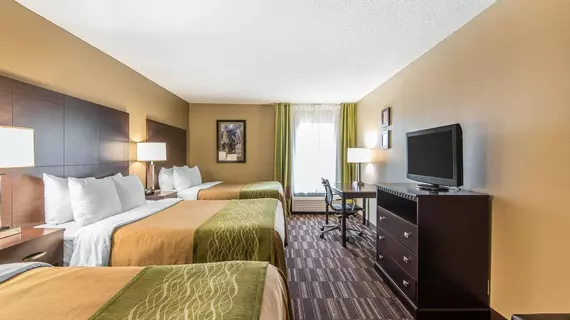 Comfort Inn and Suites Kansas City Northeast | Missouri - Kansas City (ve civarı) - Kansas