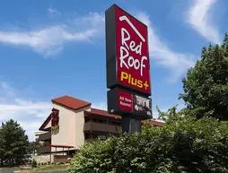 Red Roof Inn St Louis Forest Park | Missouri - St. Louis (ve civarı) - St. Louis