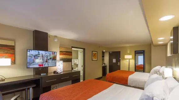 Holiday Inn Express & Suites San Antonio Medical-Six Flags | Teksas - San Antonio (ve civarı) - San Antonio