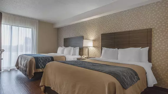 COMFORT INN LEVIS | Quebec - Quebec (ve civarı) - Levis