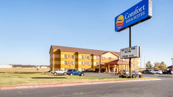 Comfort Inn & Suites Pryor | Oklahoma - Pryor (ve civarı) - Pryor - Lusta