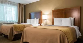 Comfort Inn & Suites at Maplewood | Vermont - Stowe (ve civarı) - Montpelier - Berlin