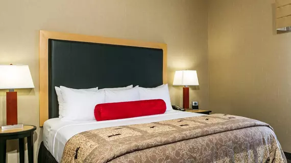 Cambria Suites Denver Int Airp | Kolorado - Denver (ve civarı) - Aurora