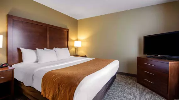 Comfort Suites Johnson Creek | Wisconsin - Fort Atkinson (ve civarı) - Johnson Creek