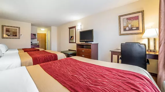 Comfort Inn & Suites Rock Springs | Wyoming - Rock Springs (ve civarı) - Rock Springs