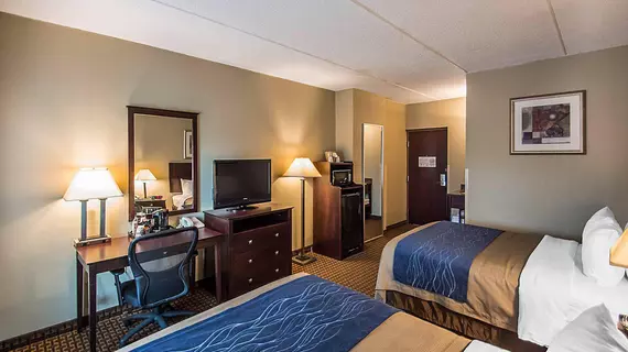 Comfort Inn Rochester | New York - Rochester (ve civarı) - Rochester